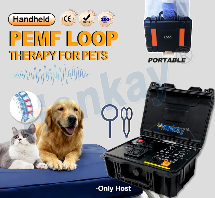 Personal Pet Care PEMF Device  - Health Wellness And review and price