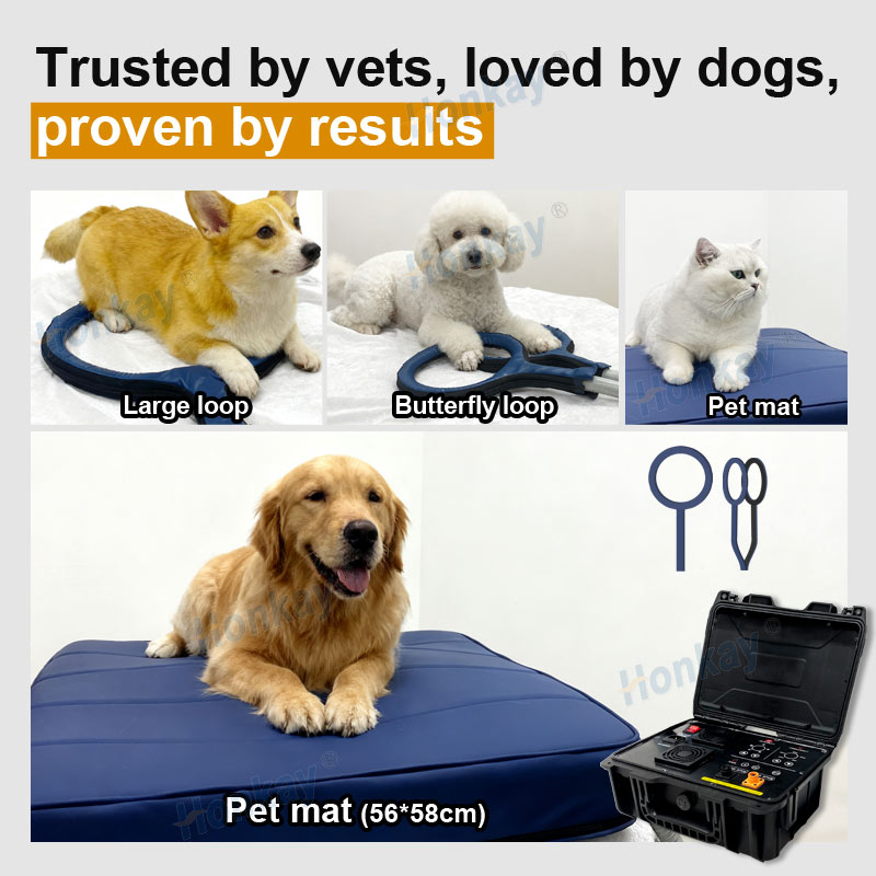Personal Pet Care PEMF Device  - Health Wellness And review and price