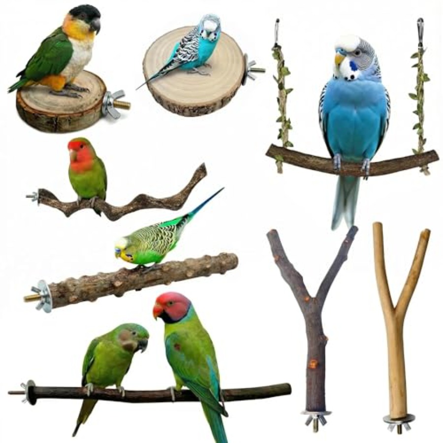 8PCS natural wood bird perches - Health & Wellness Studio review and price