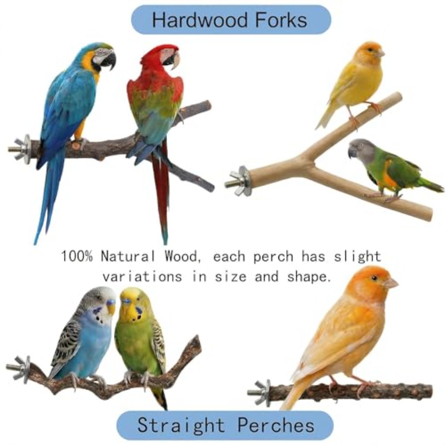 8PCS natural wood bird perches - Health & Wellness Studio review and price